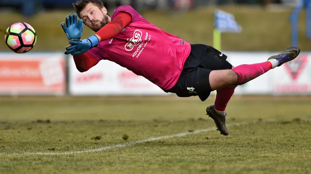 Gólman Táborska Michal Toma