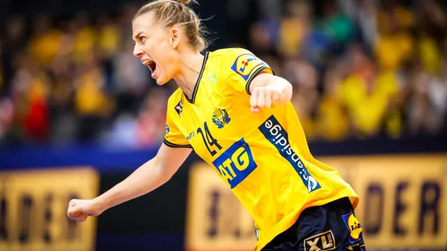 Sestřih čtvrtfinále Švédsko – Německo