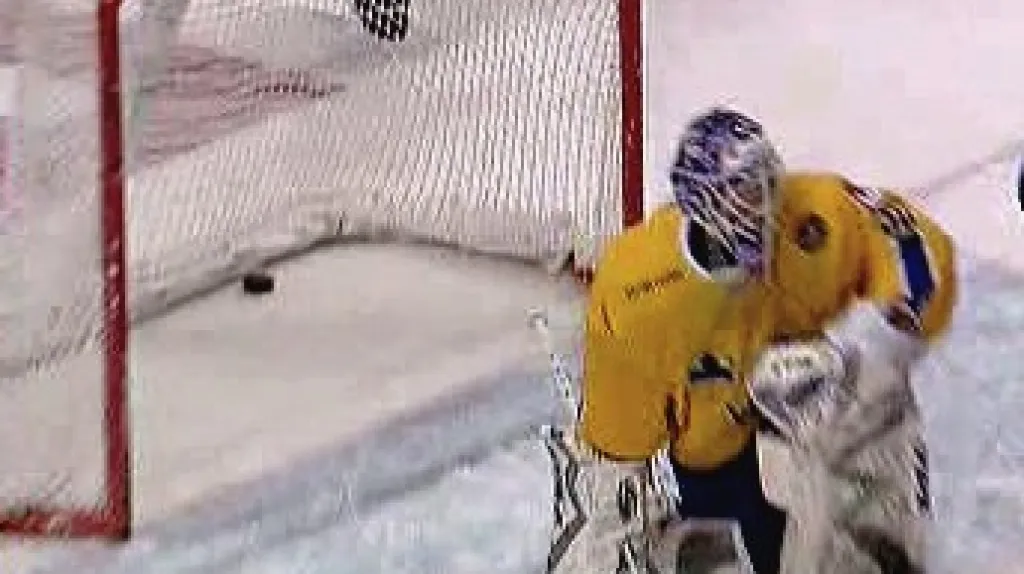 Švédský brankář