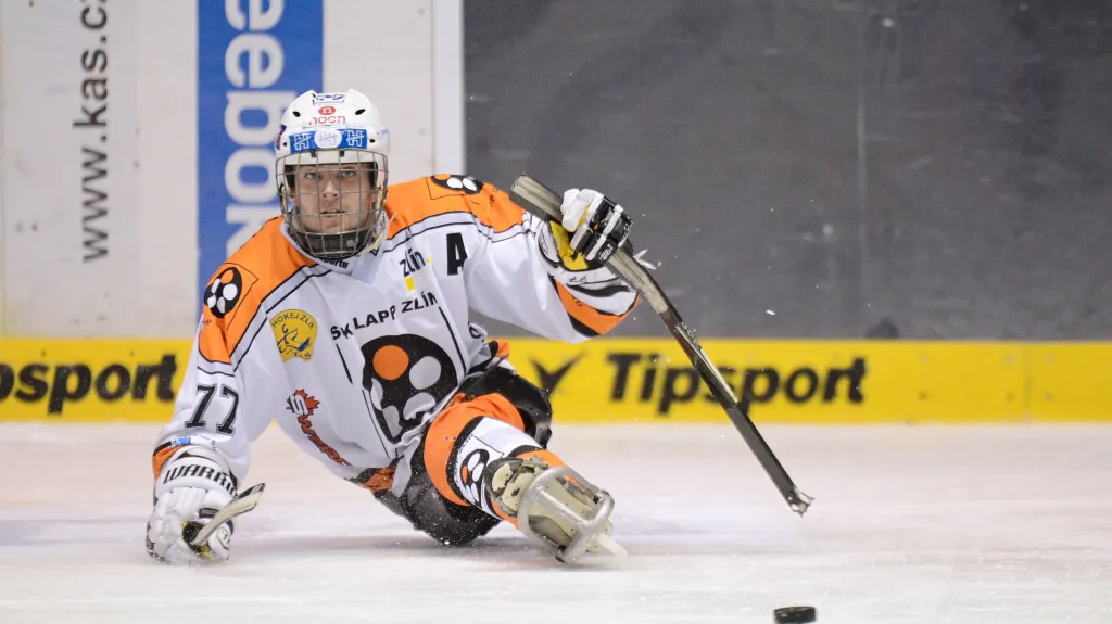 Zlínský sledge hokejista David Palát