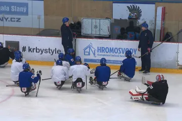 Parahokejisté odletěli do dějiště MS