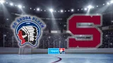 Sestřih a ohlasy utkání Plzeň – Sparta