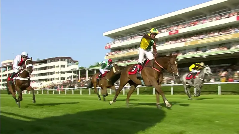 II. kvalifikace na Velkou pardubickou