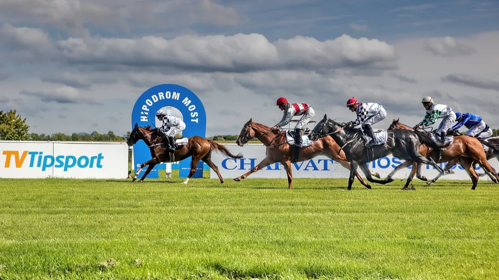 Dostihy na Hipodromu Most