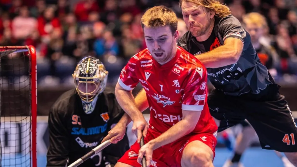 Pardubice porazily Bulldogs Brno 5:1