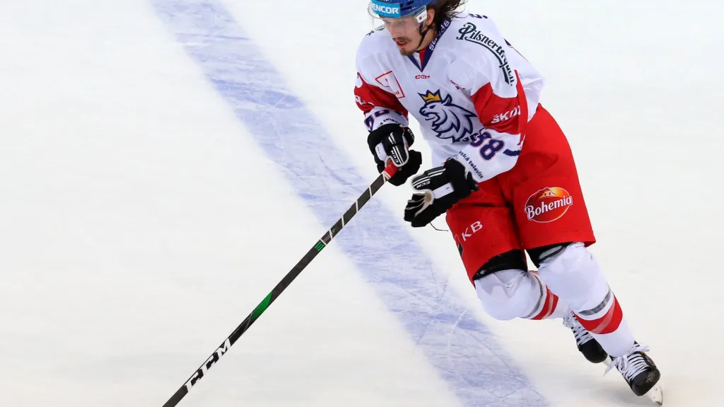 Reprezentační obránce Libor Šulák