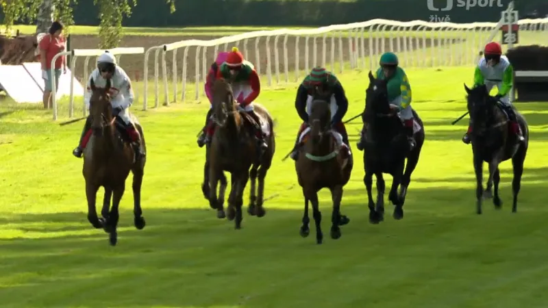 Cena města Pardubic