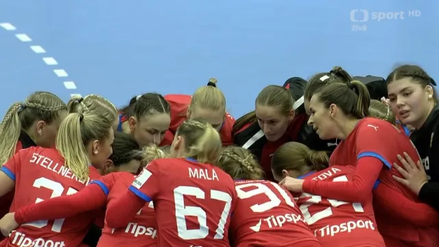 Závěr a ohlasy utkání Česko – Ukrajina