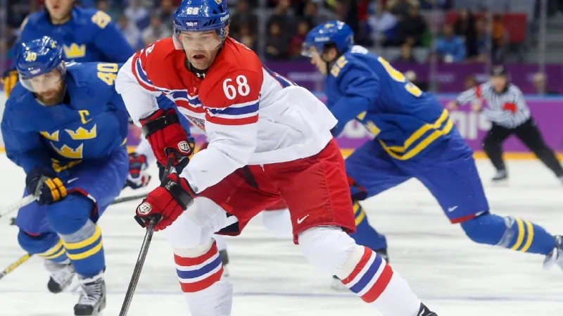 Utkání ČR - Švédsko