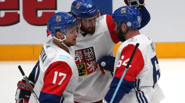 Slavící čeští hokejisté