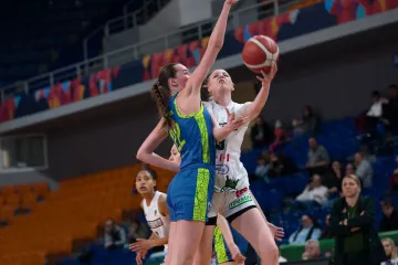 Semifinálové utkání KP Brno – ZVVZ USK Praha