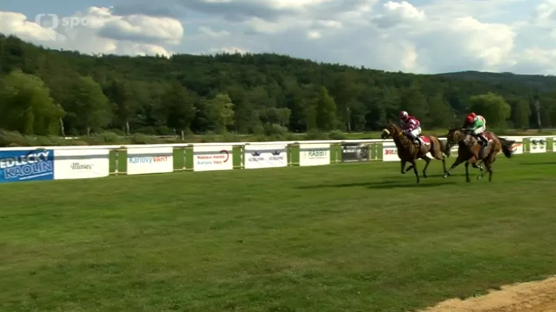 Cena města Karlovy Vary s ohlasy