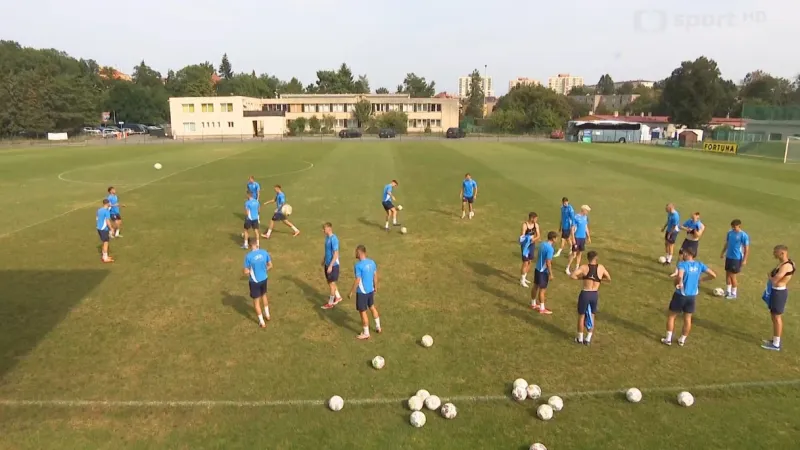 S čím jdou lvíčata do souboje s Litvou?