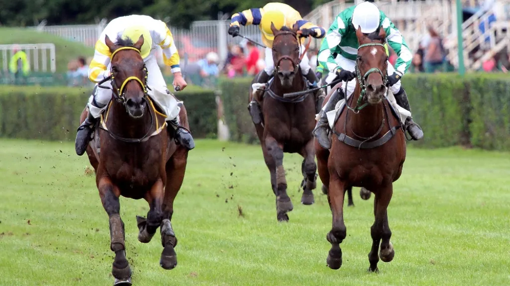 Charme Look a No Time To Lose