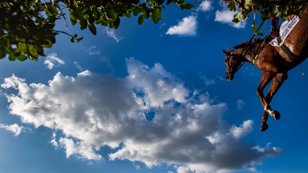Logian Whistle překonává Taxisův příkop