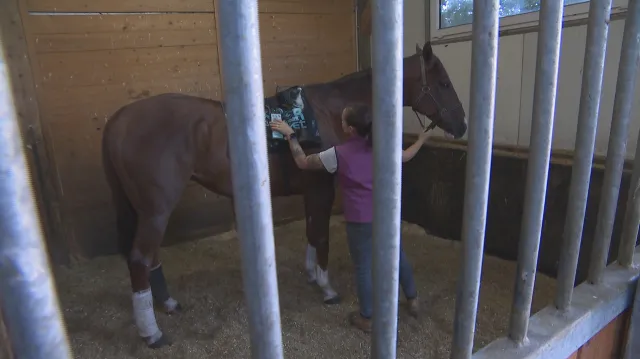 Svěřenci trenérky Kabelkové Talent a Star se loučí s Velkou pardubickou