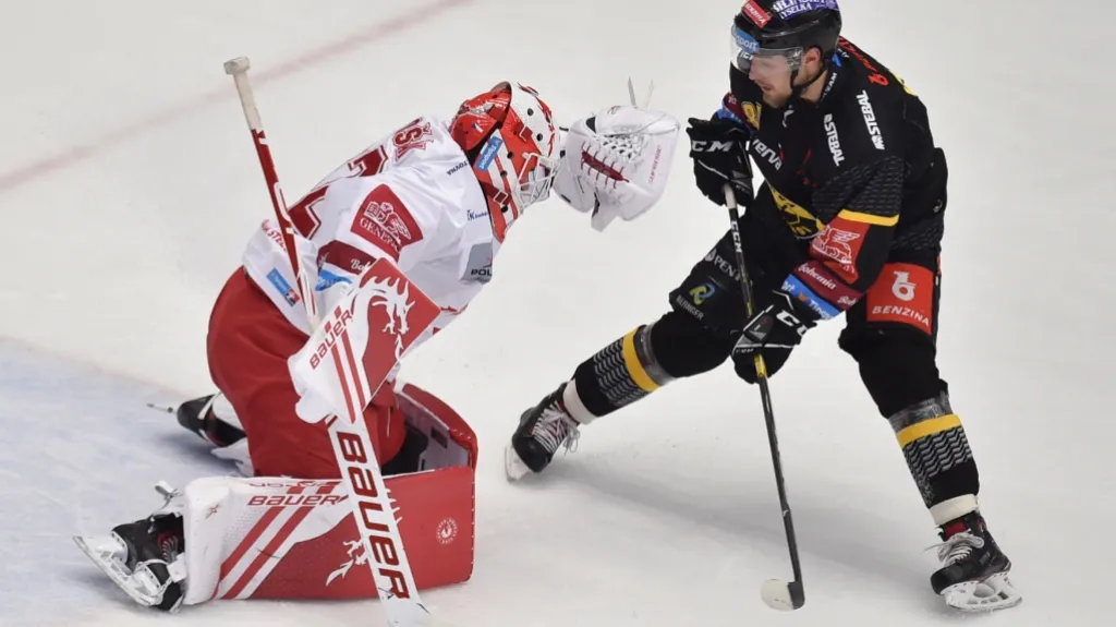 Třinecký brankář Patrik Bartošák v utkání proti Litvínovu