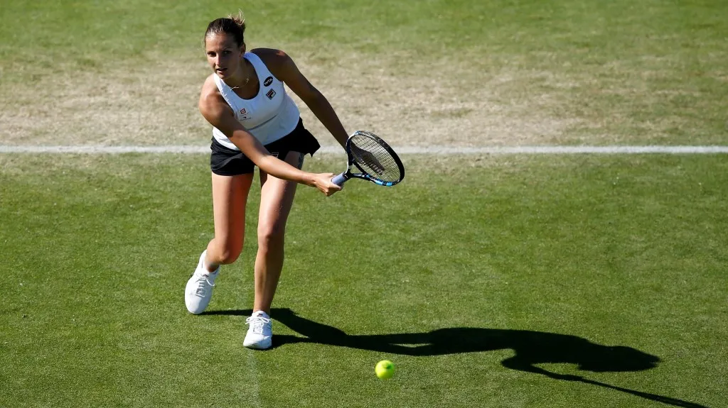 Karolína Plíšková