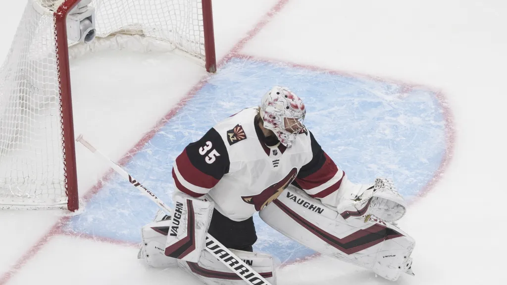 Darcy Kuemper v brance Arizony inkasuje