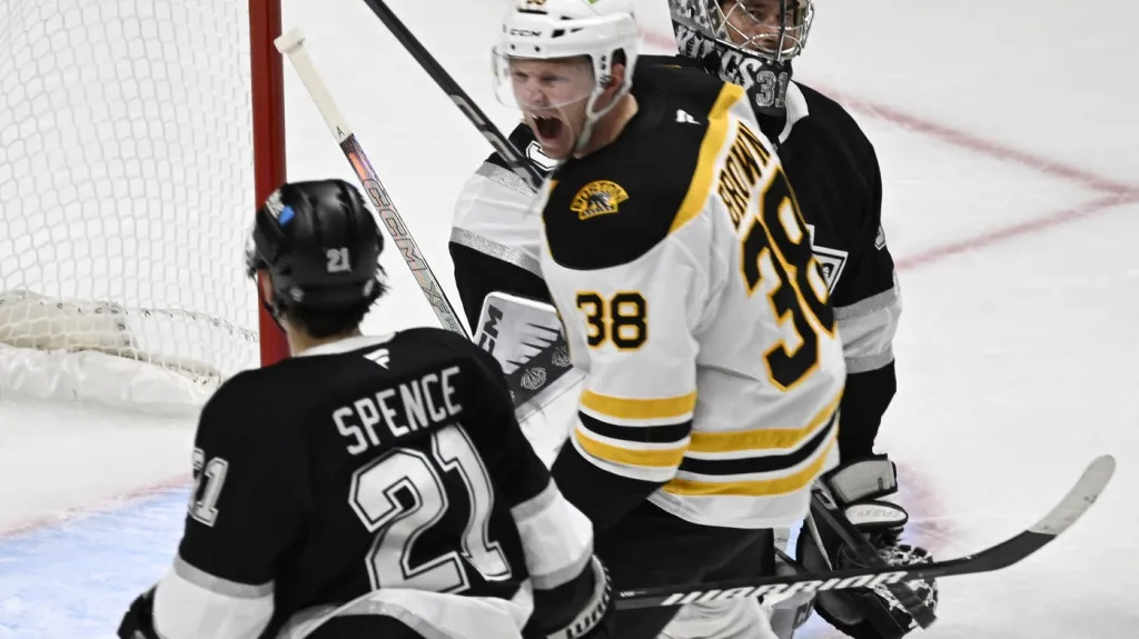 David Rittich proti Bostonu