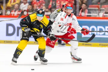 Utkání Třinec – Litvínov