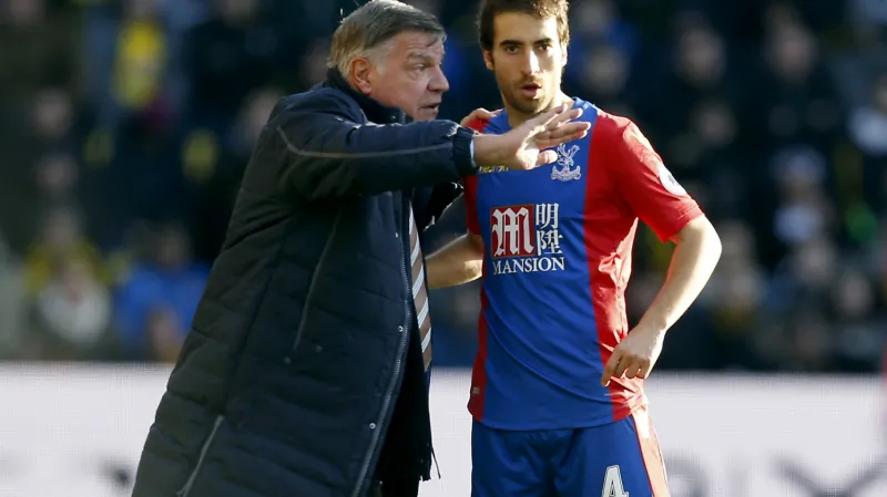 Sam Allardyce už rozdává pokyny fotbalistům Crystal Palace