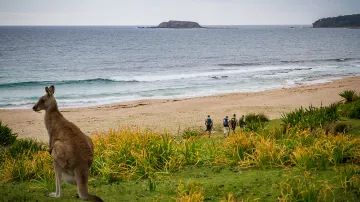 Klokan sleduje jeden z týmů na mistrovství světa v adventure race
