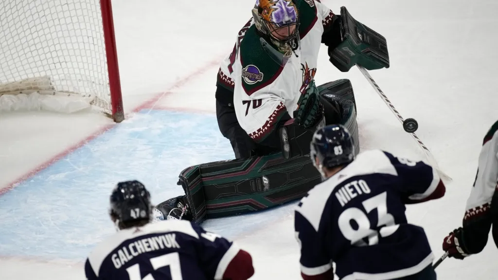 Karel Vejmelka v brance Arizona Coyotes