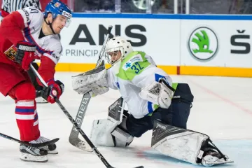 Utkání Česko - Slovinsko