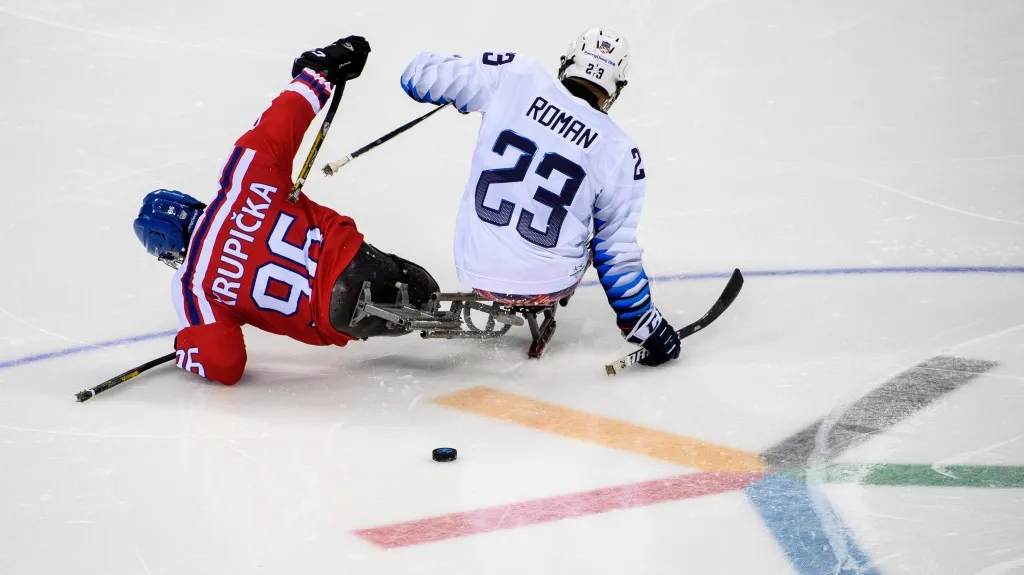 Utkání USA - Česko