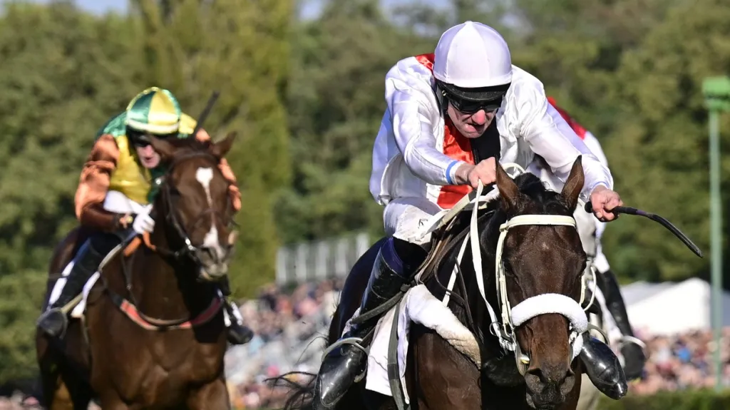 Sacamiro s Janem Faltejskem vítězí ve Velké pardubické