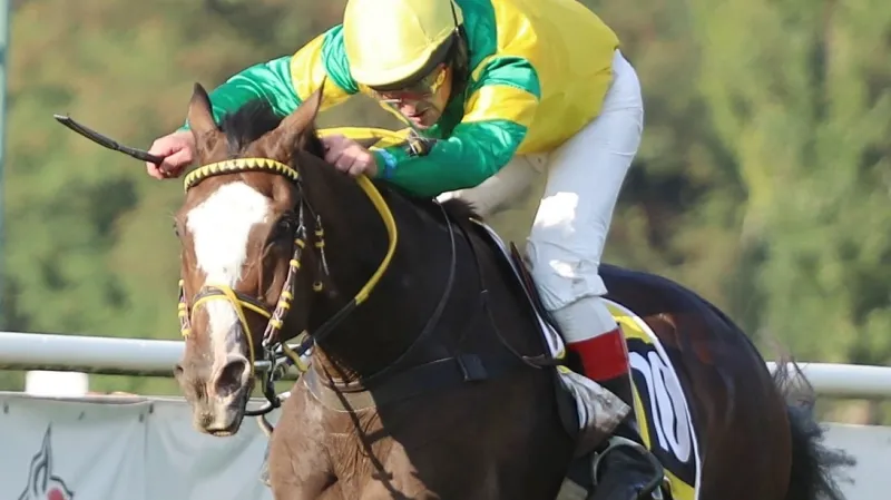 Ange Guardian s Jiřím Kouskem