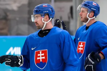 Slovenští hokejisté