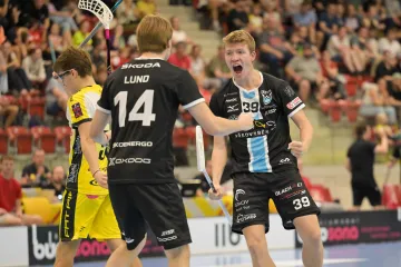 Slavící hráči Mladé Boleslavi