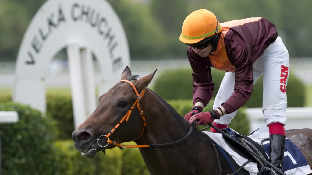 Lagaro s žokejem Janem Vernerem na Velké jarní ceně