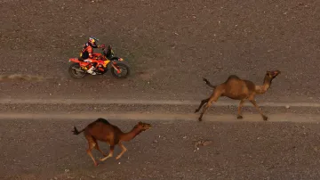 Písečné ozvěny po 2. etapě Rallye Dakar