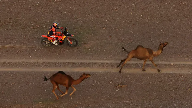 Písečné ozvěny po 2. etapě Rallye Dakar