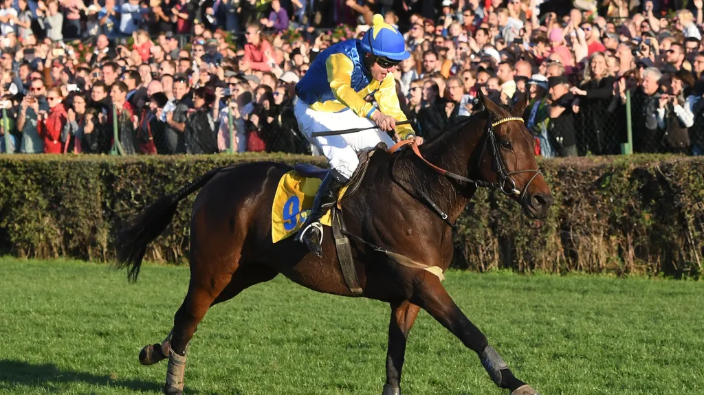 Jan Faltejsek vede Tzigana du Berlaise k vítězství