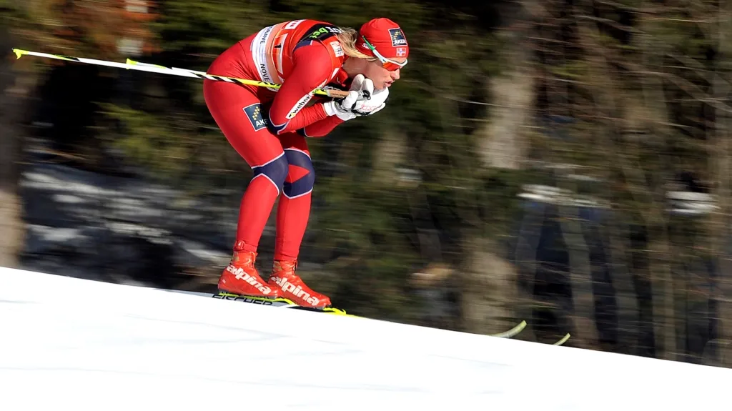 Vibeke Skofterudová