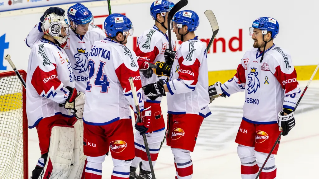 Čeští reprezentanti