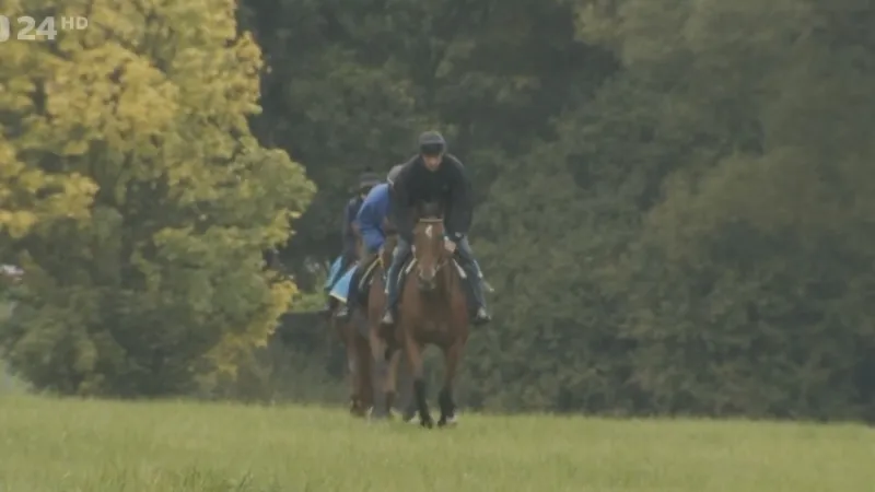 135. Velká pardubická byla rozlosována