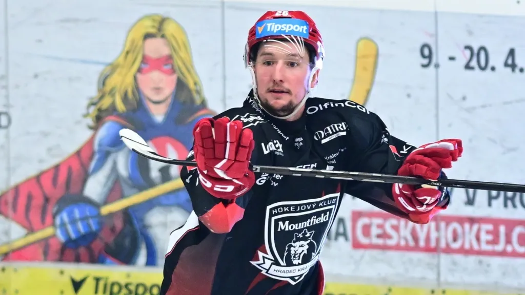 Aleš Jergl slaví gól