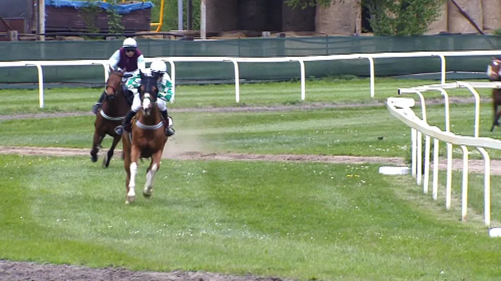 Prvomájovou steeplechase ovládl Rabbit Well