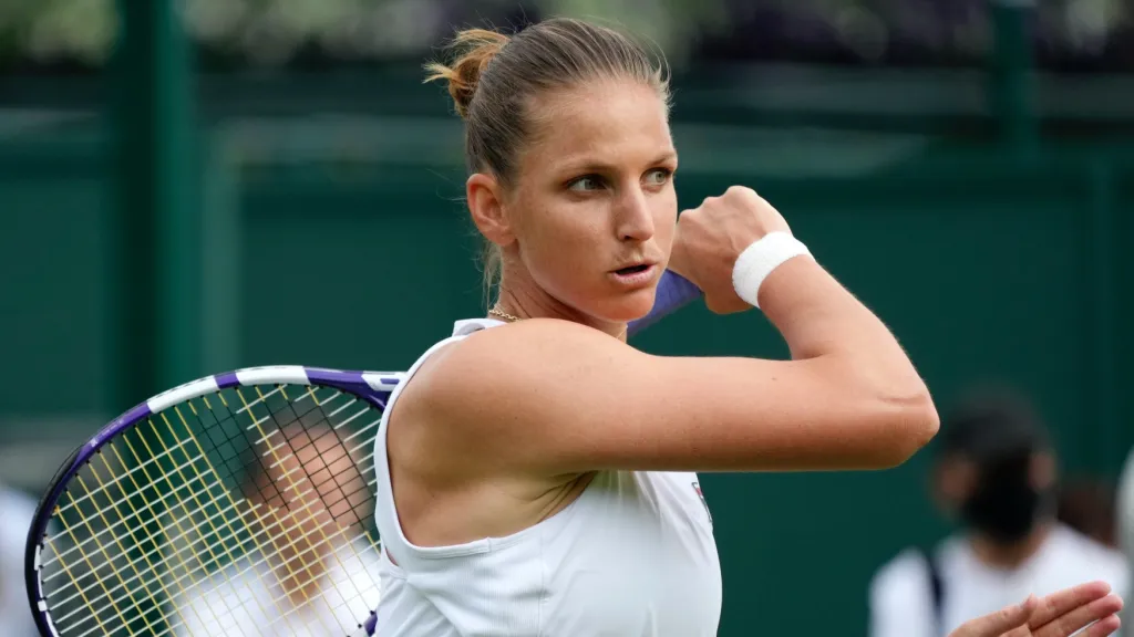 Karolína Plíšková