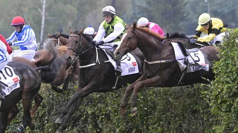 Jubilejní 130. Velkou pardubickou vyhrál dvanáctiletý Hegnus