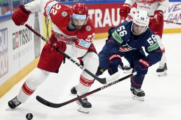 Utkání USA – Dánsko
