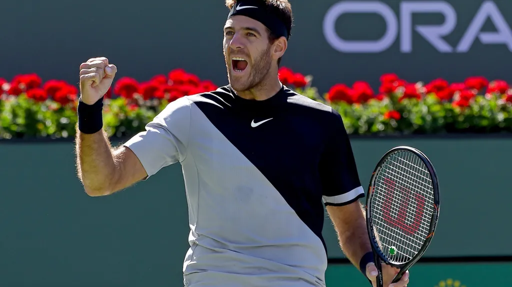 Juan Martín del Potro