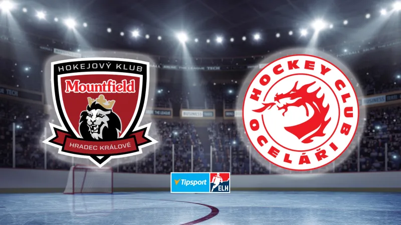 Sestřih a ohlasy utkání Hradec Králové - Třinec