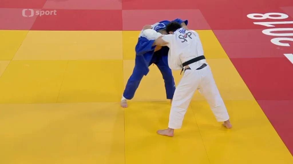 Kategorii do 66 kg vyhrál v Haagu favorizovaný Margvelašvili