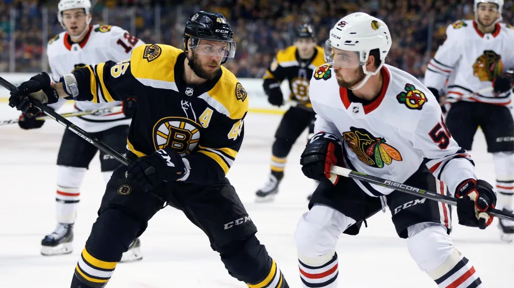 David Krejčí v utkání proti Chicagu